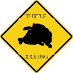 turtlexing.jpg