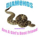 easterndiamondback.jpg