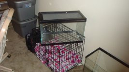 15 gal 2.jpg