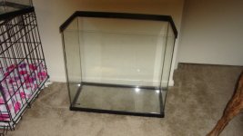 25 gal terrarium 2.jpg