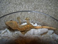 100_1844.jpg