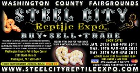 Steel City Expo CITY PAPER HALF PAGE AD JAN2011.jpg