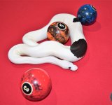 panda male.jpg