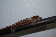 DSC_0472.jpg