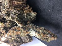 female chewi 03.jpg
