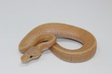 Banana Pinstripe Male Baby.jpg