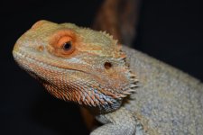 Resized_DSC_0324.jpg