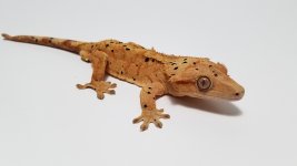 20200430_222327.jpg