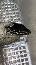 IMG_0465.jpg