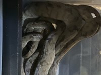 239650BC-BE48-4617-9B97-8170B3FAED97.jpg