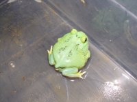 100_0111.jpg