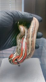 IMG_20200108_131403.jpg