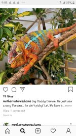 Screenshot_20191201-210506_Instagram.jpg