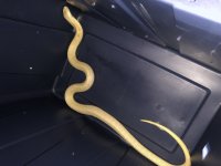 932A3CE5-474E-4D9C-B9B1-D615F3980C58.jpg