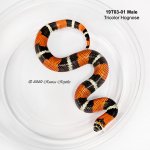 19T03-01M_sm.jpg