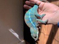 IMG_3896.jpg