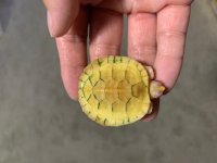 thumbnail_IMG_2249.jpg