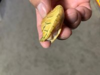 thumbnail_IMG_2250.jpg
