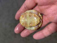thumbnail_IMG_2251.jpg