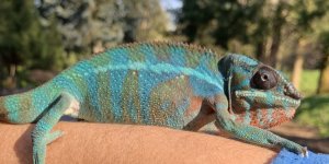 IMG_3920.jpg
