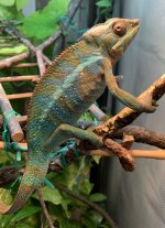 IMG_3922.jpg