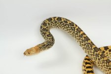 IMG_7903.jpg