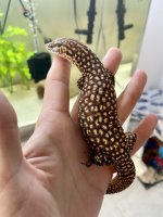 8F0D1685-541E-40DF-9D73-0492BB86443D.jpg