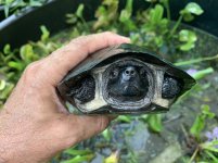 CC8E2B9D-1C8B-435E-BC48-152FD21E5D8D.jpg
