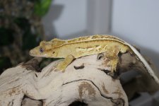 IMG_3324.jpg