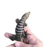 2F0FB9FF-343F-4764-B648-D1E805E1CD36.jpeg