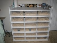 Rack1.jpg