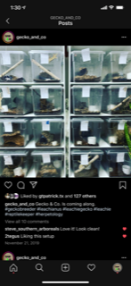 IMG_1358.PNG