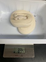 49E469D7-97DB-449D-9528-DC57F7D8E9CA.jpg