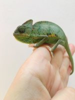 91790197_1817739008360529_2611309793498890240_n.jpg