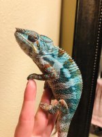 IMG_0171.jpg
