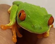 D07A0A92-E9F6-41F9-93D6-56F0B15EEC51.jpg