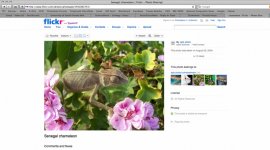 Screen shot 2011-04-03 at 9.36.13 PM.jpg