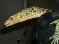 Picture 015.jpg