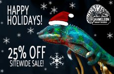 Holiday cham2.jpg