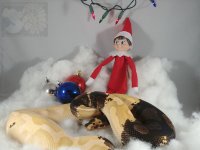 IMG_20191224_213057_469.jpg