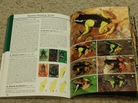 IMG_20200113_072042751.jpg