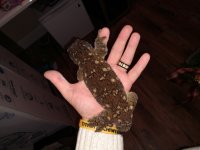 IMG_20190123_133726238.jpg