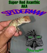 PicsArt_06-09-03.40.45.jpg