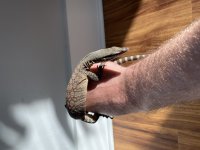 IMG_2661.jpg
