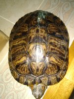 IMG_20200503_154222.jpg