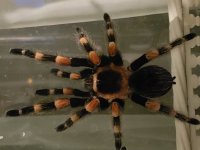 20180911_214554.jpg