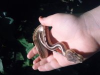 20200804_123650.jpg