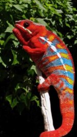 IMG_1289.jpg