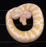 thumbnail (25).jpg