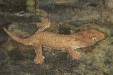 IMG_6565.jpg